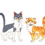 Dtiys contest