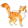 Starflower design (warrior cat oc)