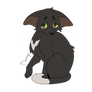 Ravenpaw design