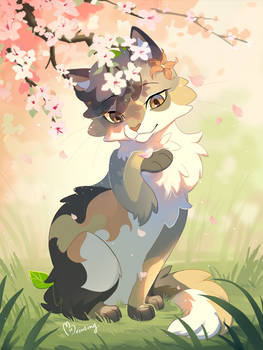 Spring