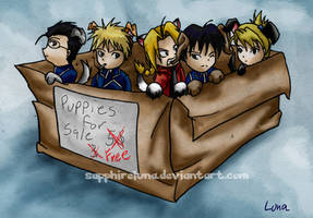 FMA - Puppies of the military