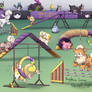 Dog Pokemon Agility