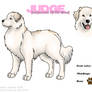 Great Pyrenees - ref sheet