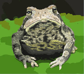 Camouflaged Toad Go by tehJ4bb3rw0ck