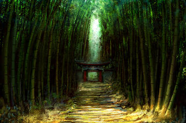 Bamboo path