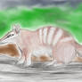 A Numbat