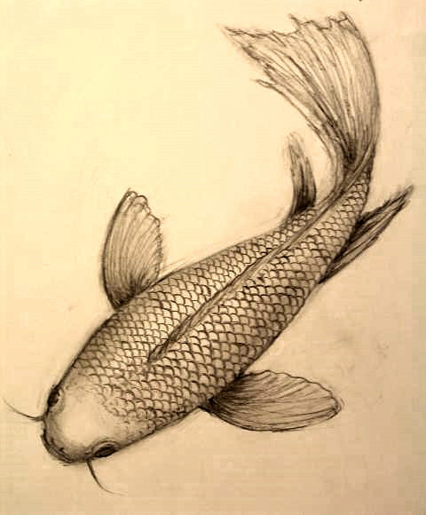 koi design