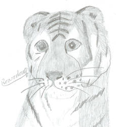 Tiger cub by roarodon07