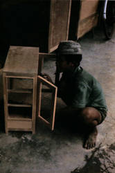 Vietnam Carpenter