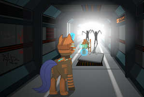 Pony Space