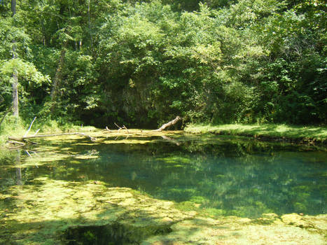 Mystical pond