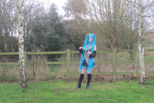 Hatsune Miku Cosplay 37