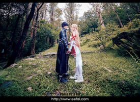 Sword Art Online SAO Kirito Asuna  Cosplay