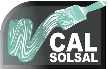 Cal Solsal estudo