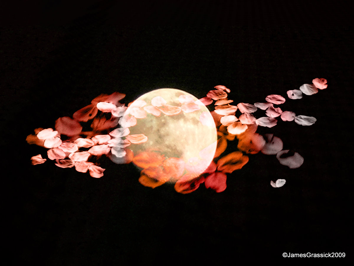 blossomoon