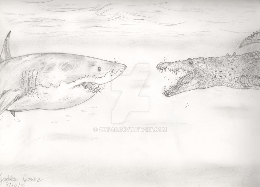 Great White vs. Saltwater Croc