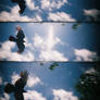 supersampler5