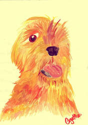 Le watercolour dog
