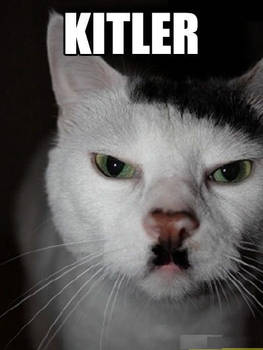 82120130517078142013230311-58916