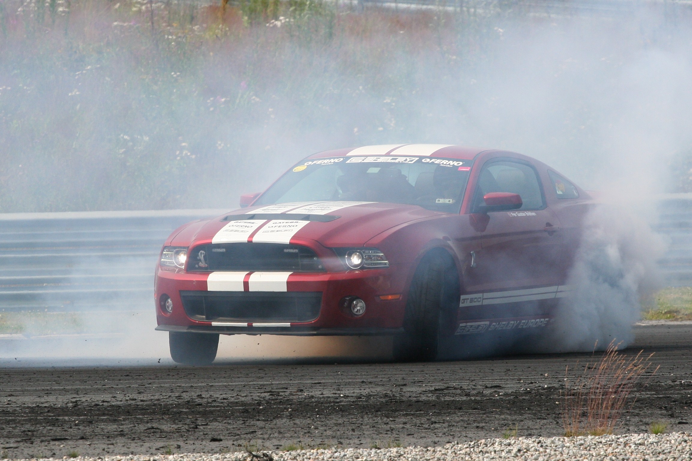 Mustang In The Smoke