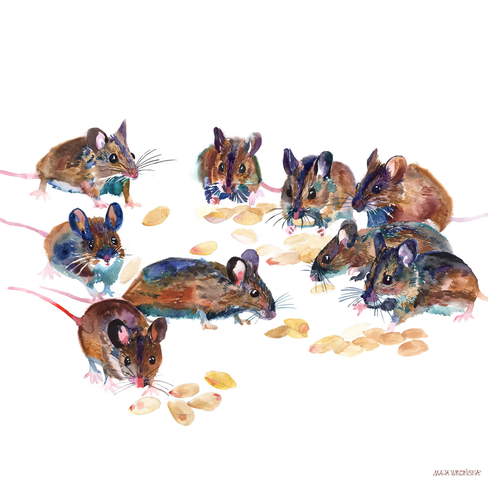 Mice by takmaj