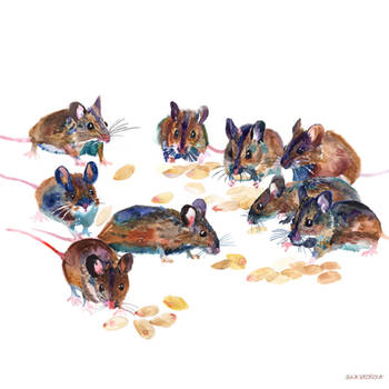 Mice by takmaj
