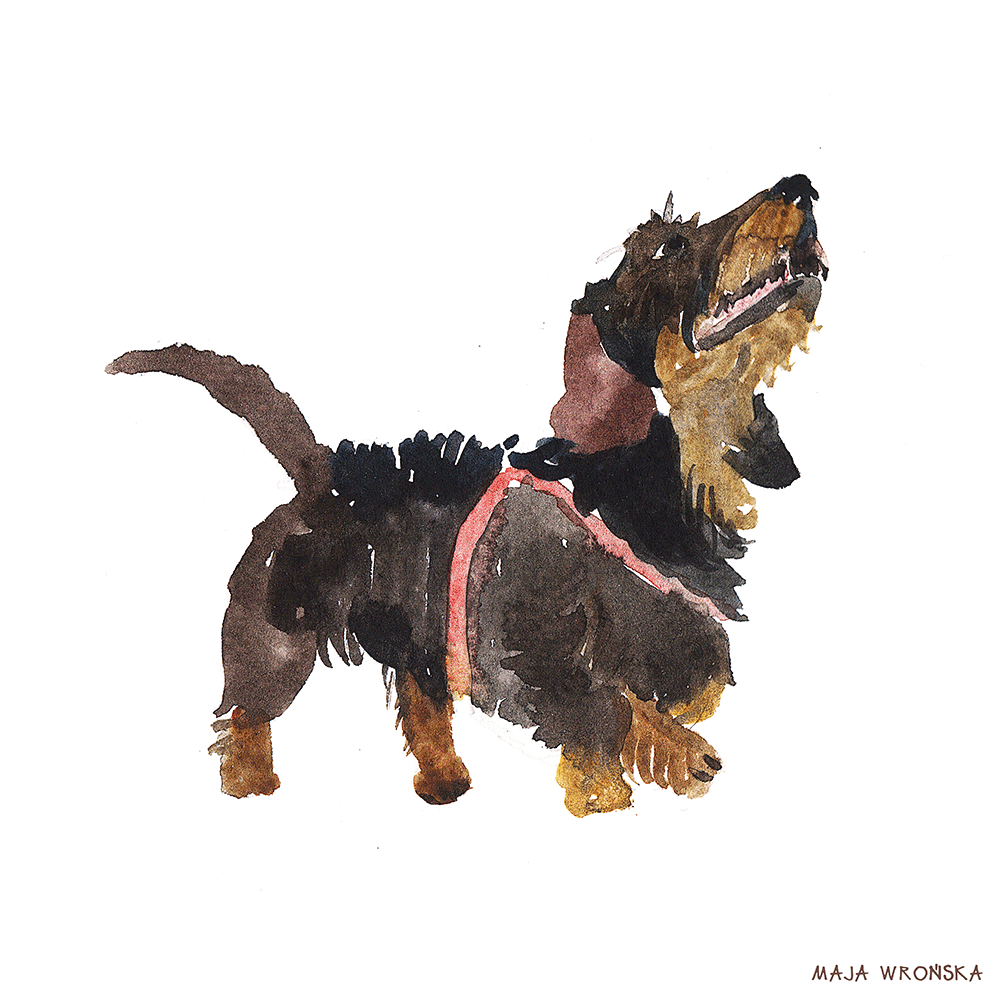 watercolor dachshund