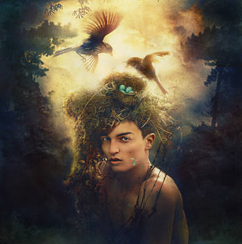Exotic Mind by Gerry-And-Me