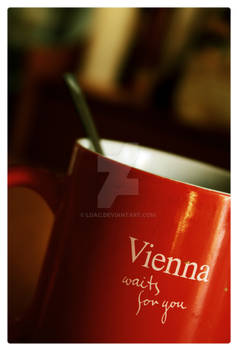 Vienna waits for you..