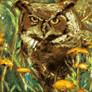 owl in pastel