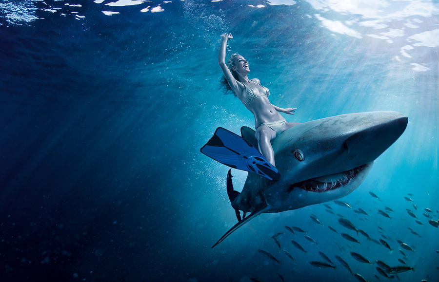 К чему снятся акулы в воде женщине. Девушка акула. Акула в море. Акула плывет.