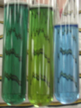 Biology test tubes