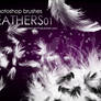 Shades Feathers 01 Brushes