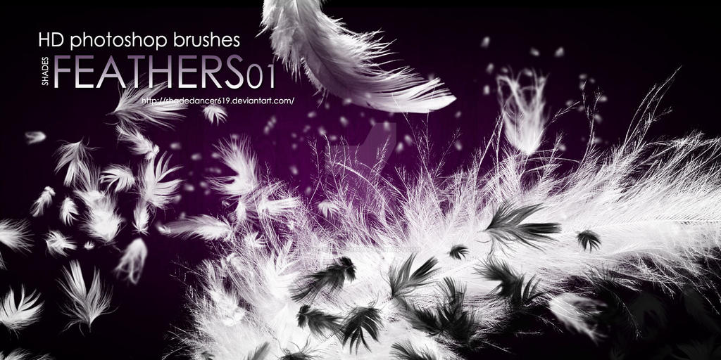 Shades Feathers 01 Brushes