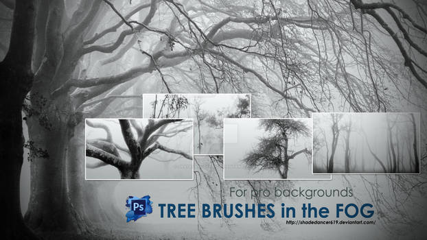 Trees in the Fog Photoshop Brushes