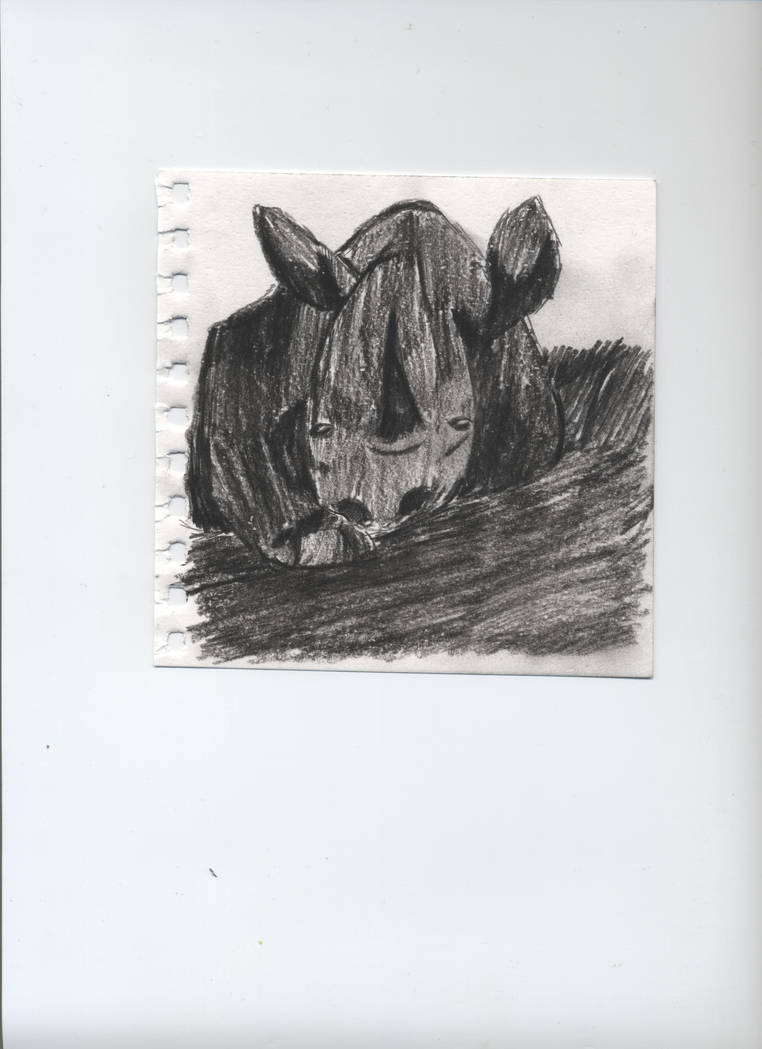 Rhino by 0-xcheekymonkeyx-0 on DeviantArt