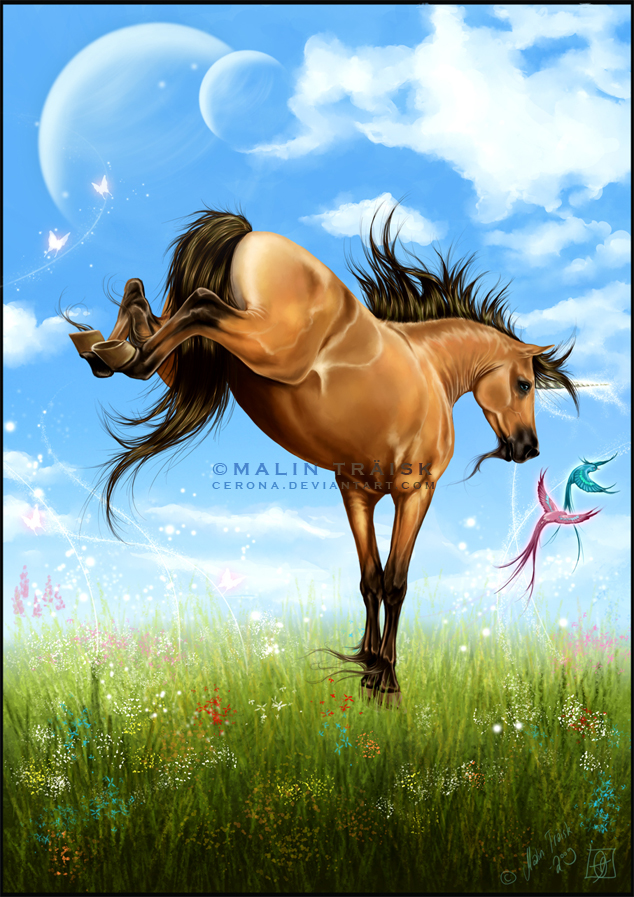 Ultimate Freedom by cerona