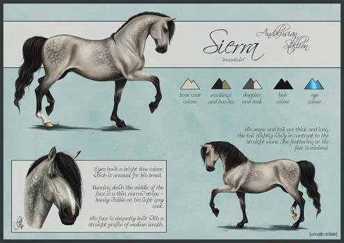 Sierra Reference Sheet