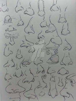 Noses practice