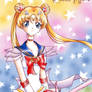 :: Sailor Moon ::