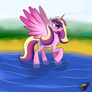 1HC #6 : Cadence at the Beach