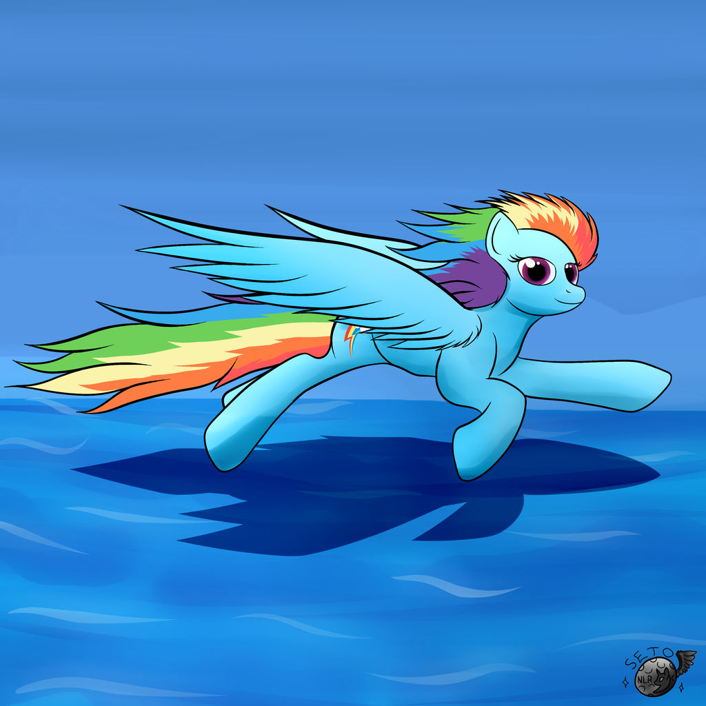 1HC #13 : Rainbowdash