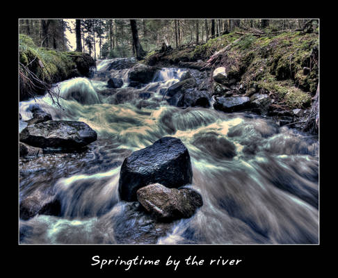 Springtime by the river.