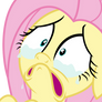 Fluttercry