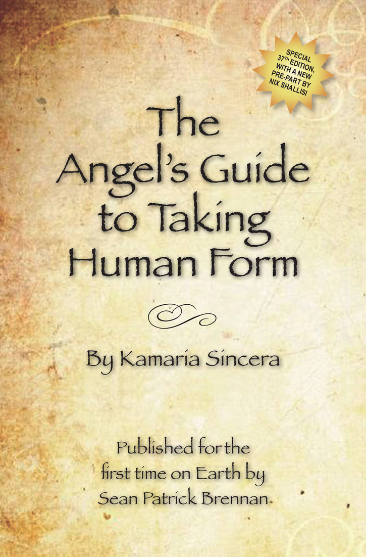 The Angel's Guide to Taking Human Form by angelenroute