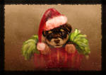 X'mas Gift by Andreagoh
