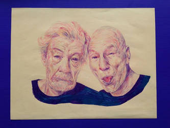 Ian mckellen / Patrick Stewart