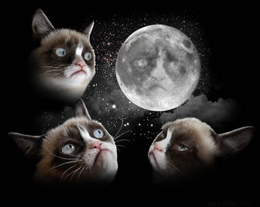 Three Tard Moon