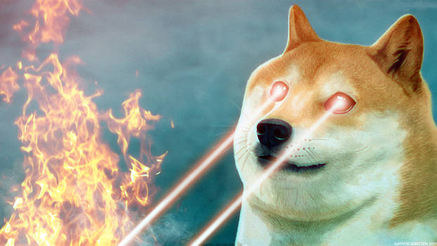 Doges Cleanses The Non-Believers - 1080p Wallpaper