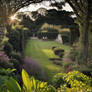 David's Garden